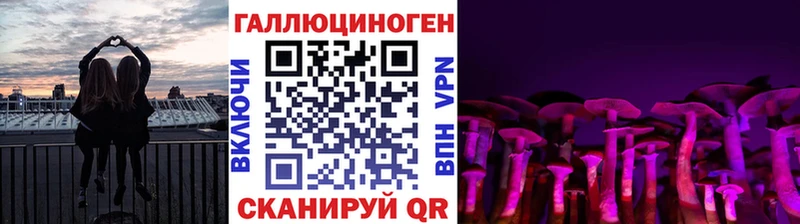 наркота  МЕГА как войти  Галлюциногенные грибы GOLDEN TEACHER  Лениногорск 